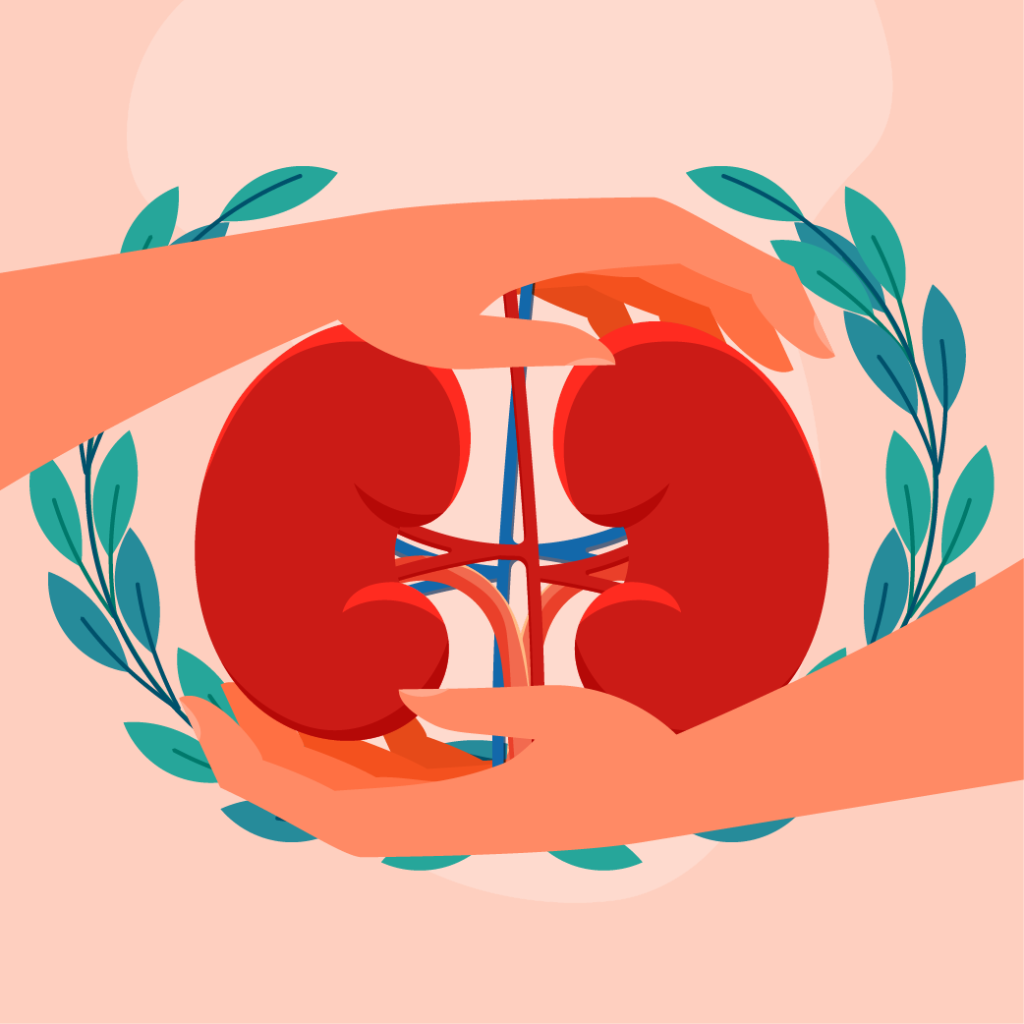 nephroprotection