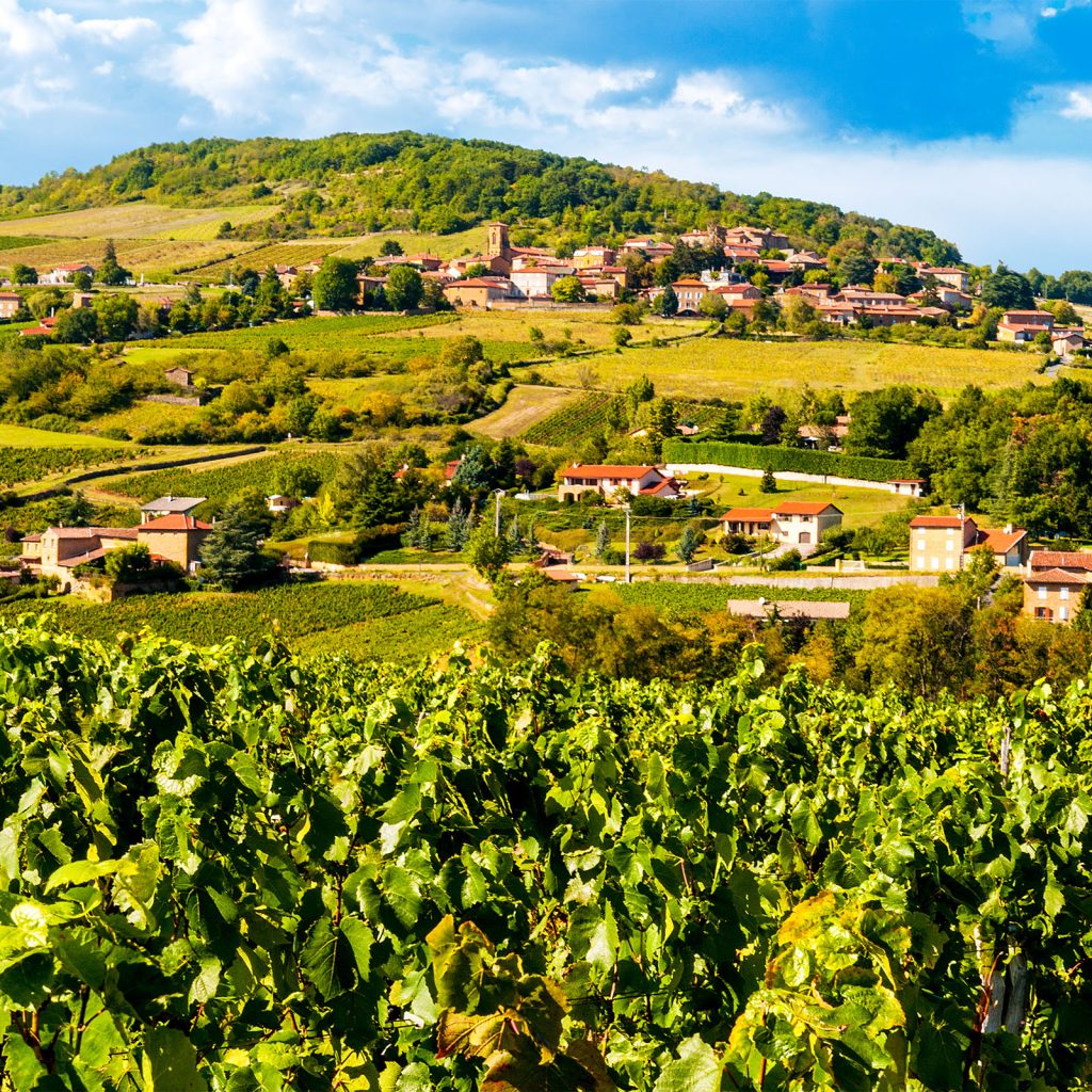 Vacances en dialyse - Beaujolais