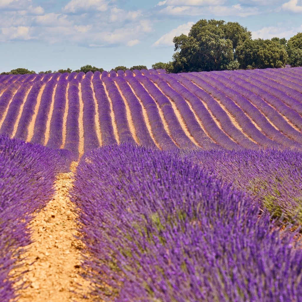 Vacances en dialyse - Drôme
